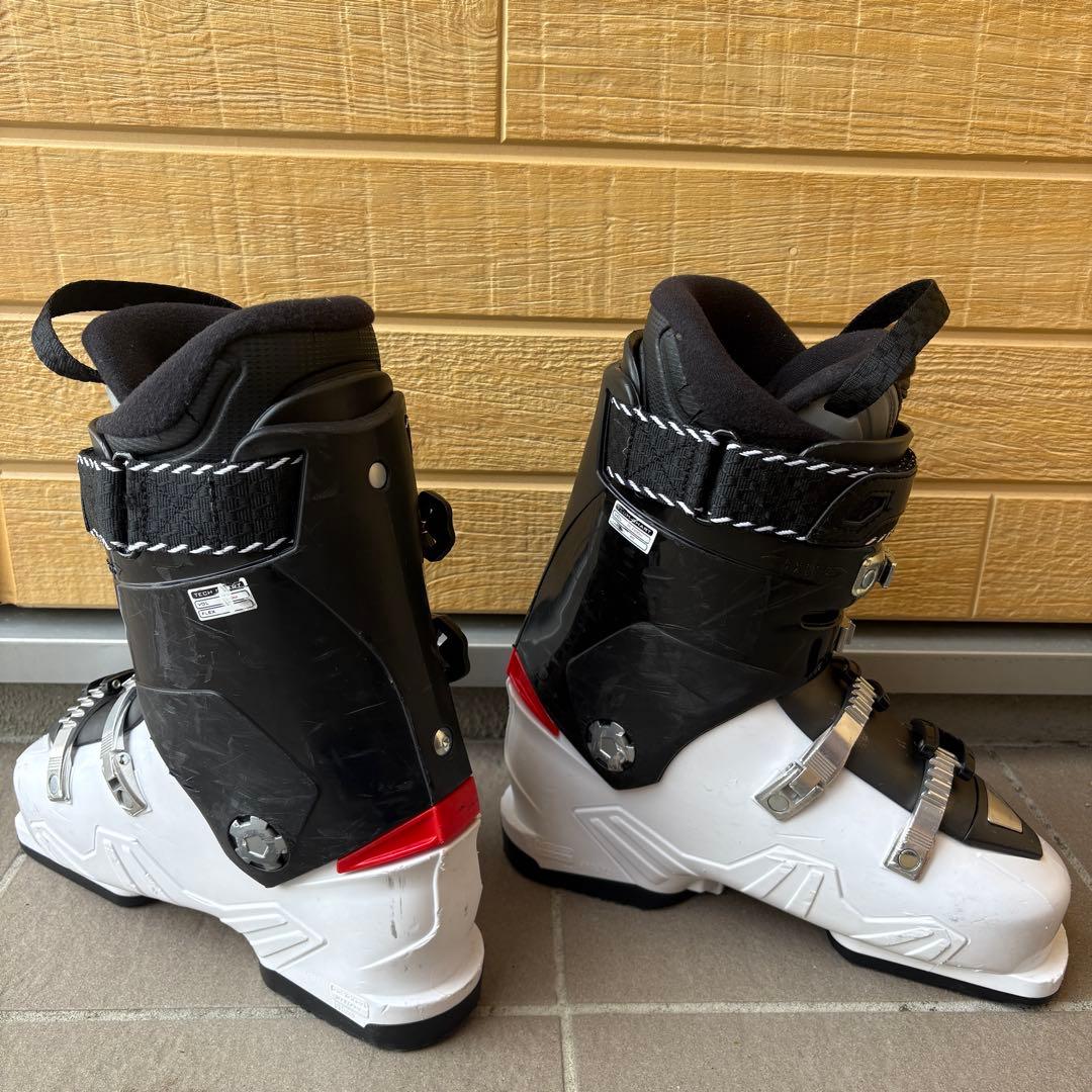 Hanson Beetle ハンソン 25.0cm 301mm