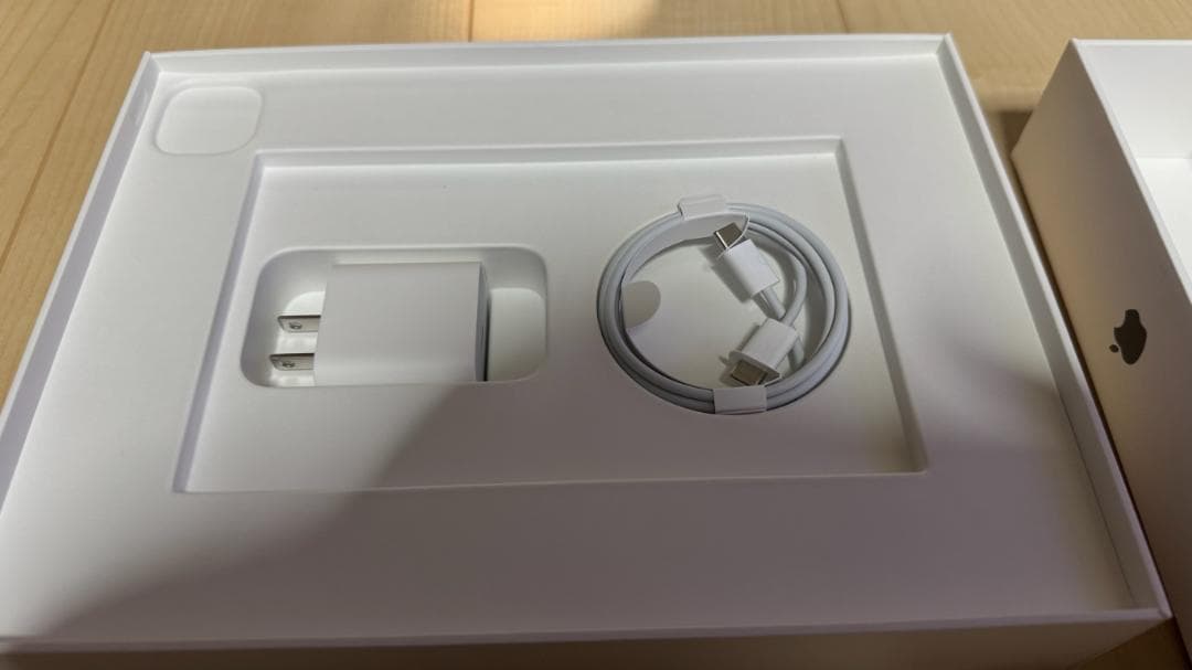 Apple iPad Pro 11インチ 第3世代 256GB Wifiセルラー