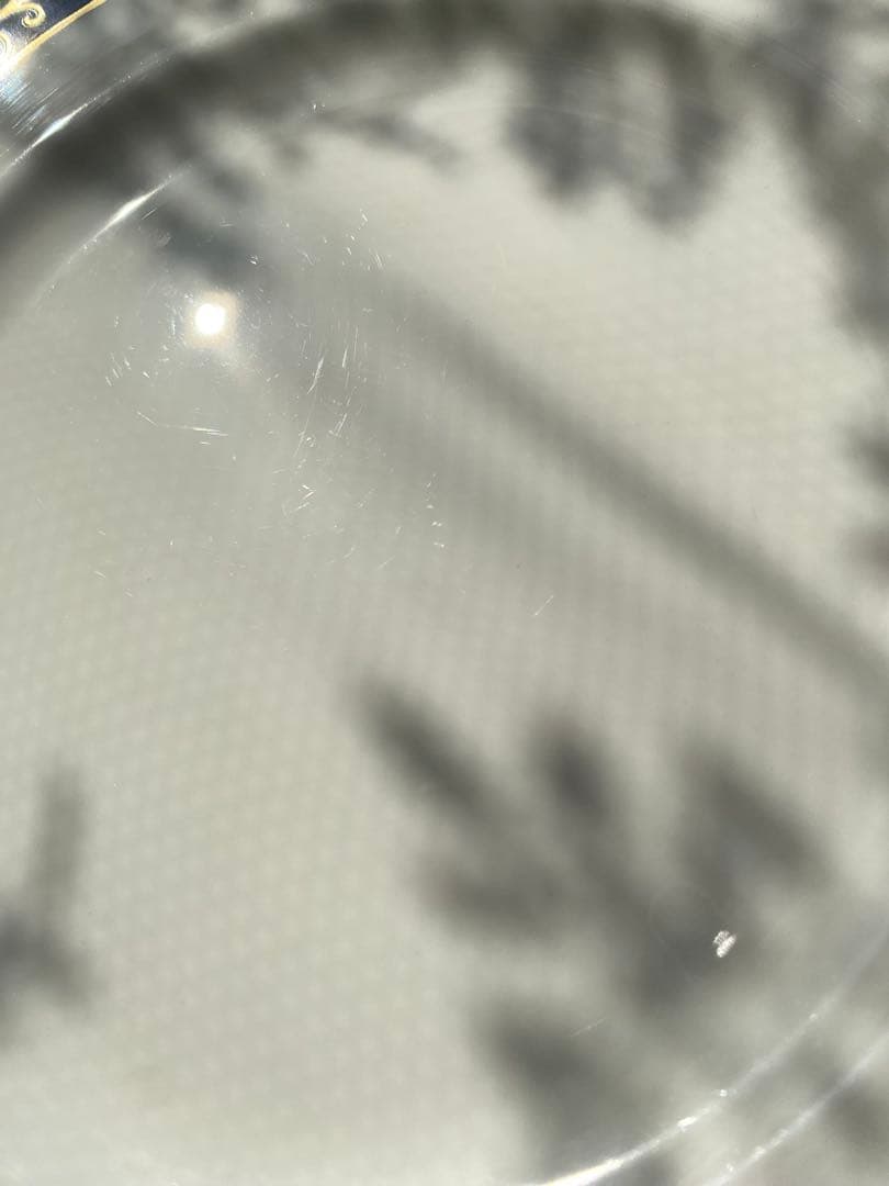 レア　リチャードジノリ　パランツァ　21cm&26.5cm プレース10枚