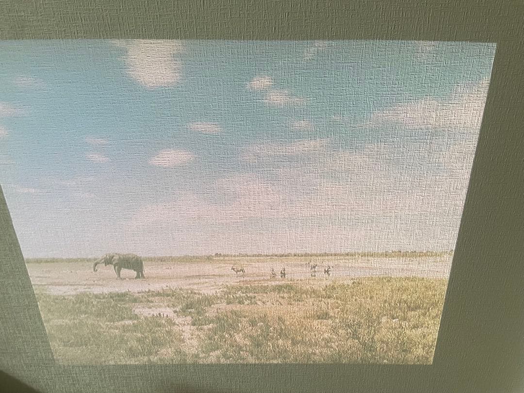 SONY ソニー ホームシアター LSPX-P1 プロジェクター