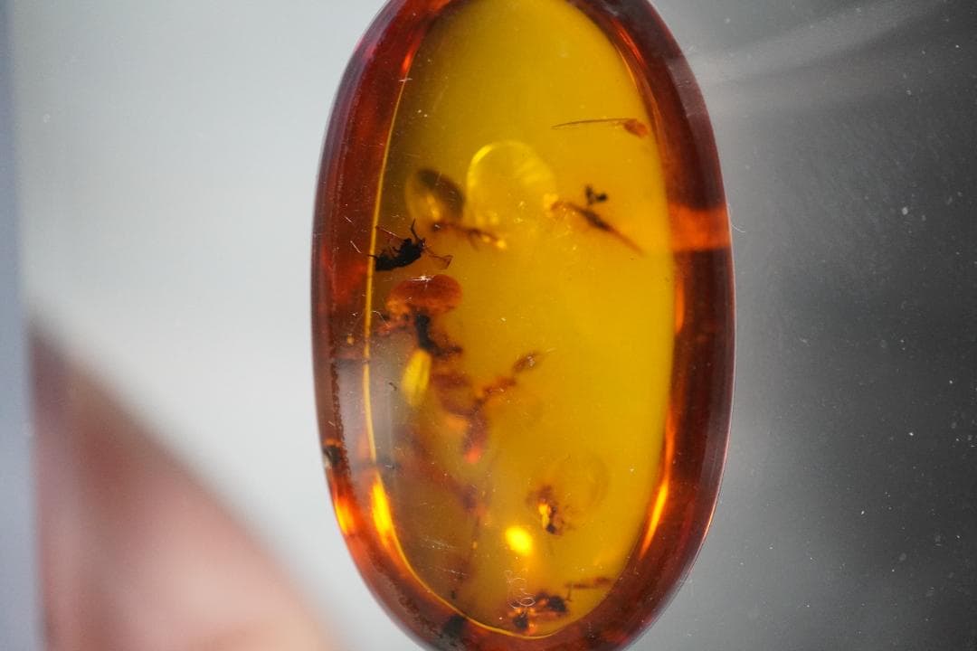 天然　琥珀　特大45ｃｔオーバー　虫入り