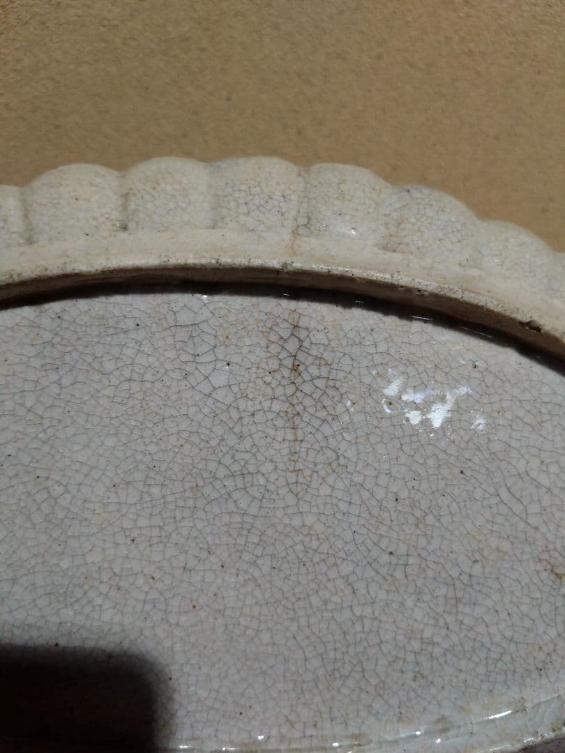 古清水 桔梗紋 輪花 長皿