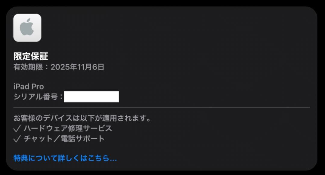 iPad Pro (M4) 13インチ　256GB　本体