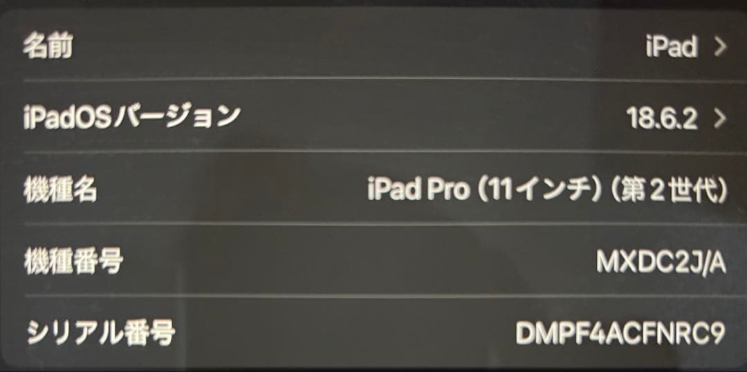 iPad Pro 11インチ 256GB WiFi （第2世代）スペースグレイ