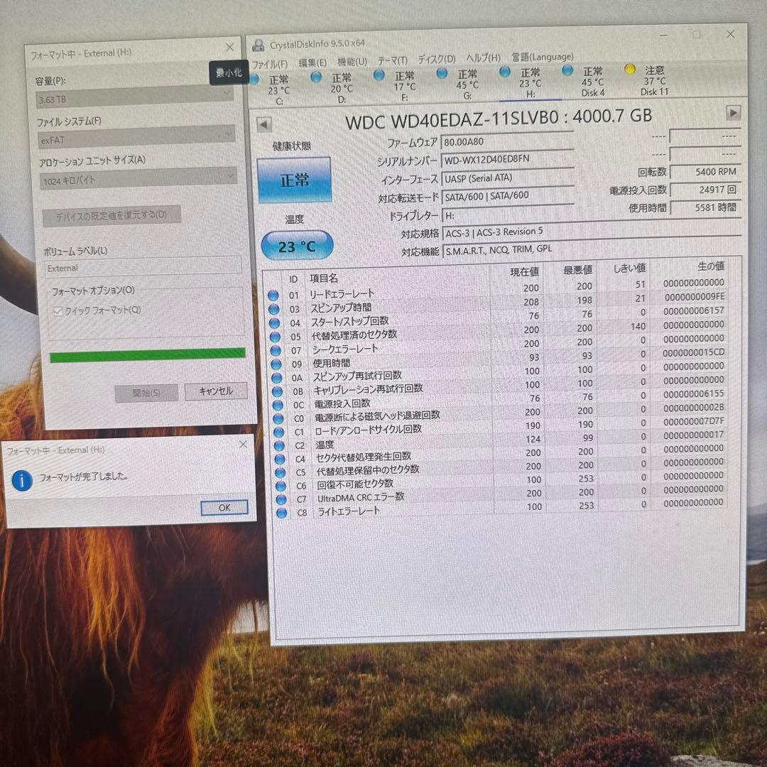 WD 4TB SATA ハードドライブ