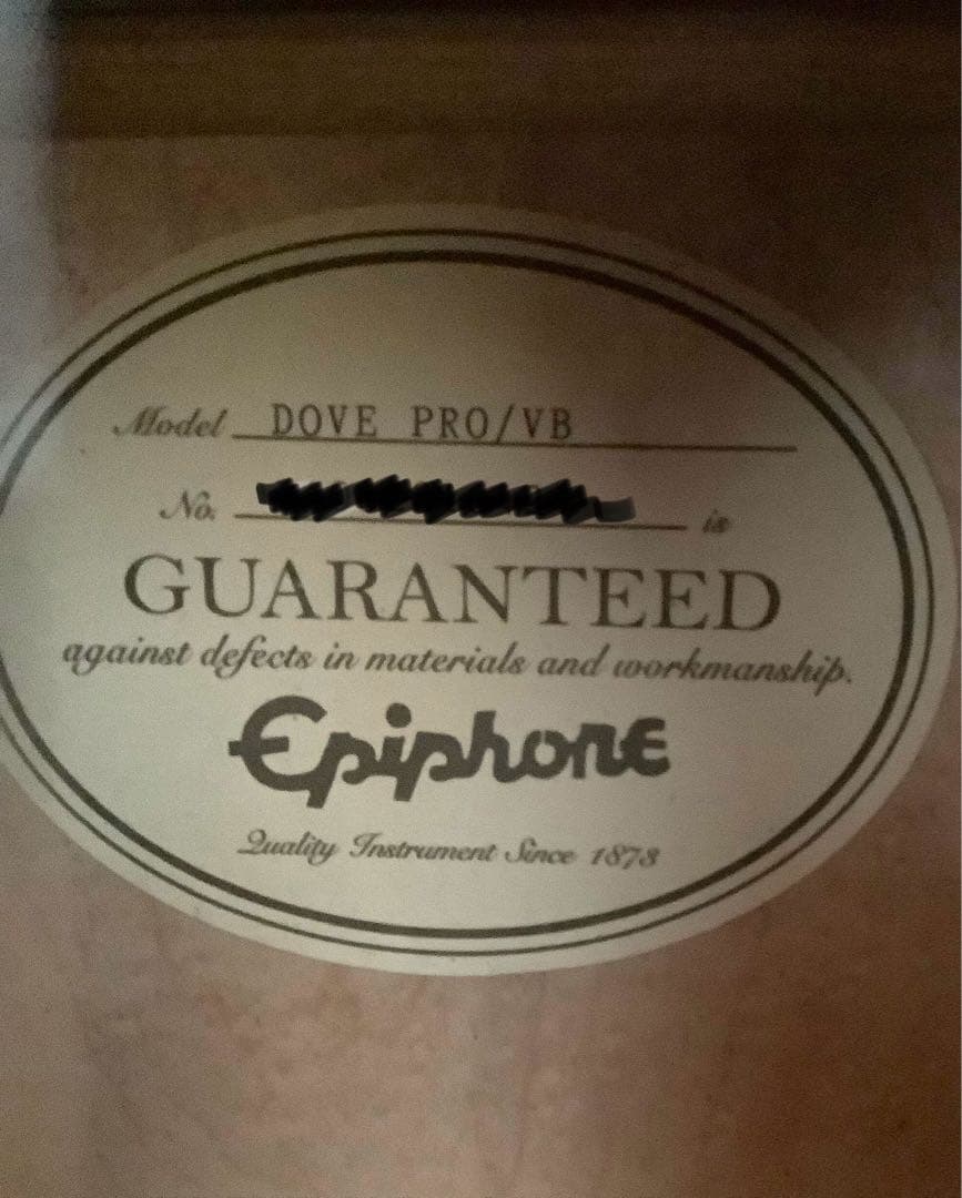 Epiphone Dove エレアコ　弦高調整済み美品