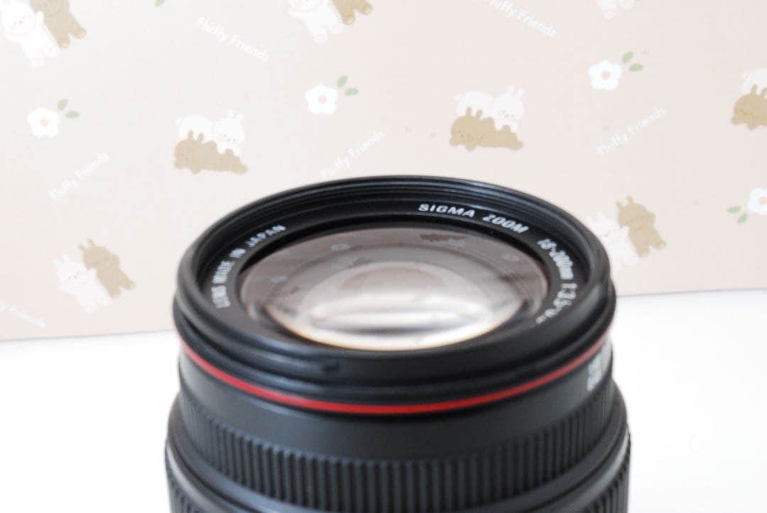 ❤️超望遠神レンズ❤️sigma 18-200mm f3.5-6.3Ⅱcanon