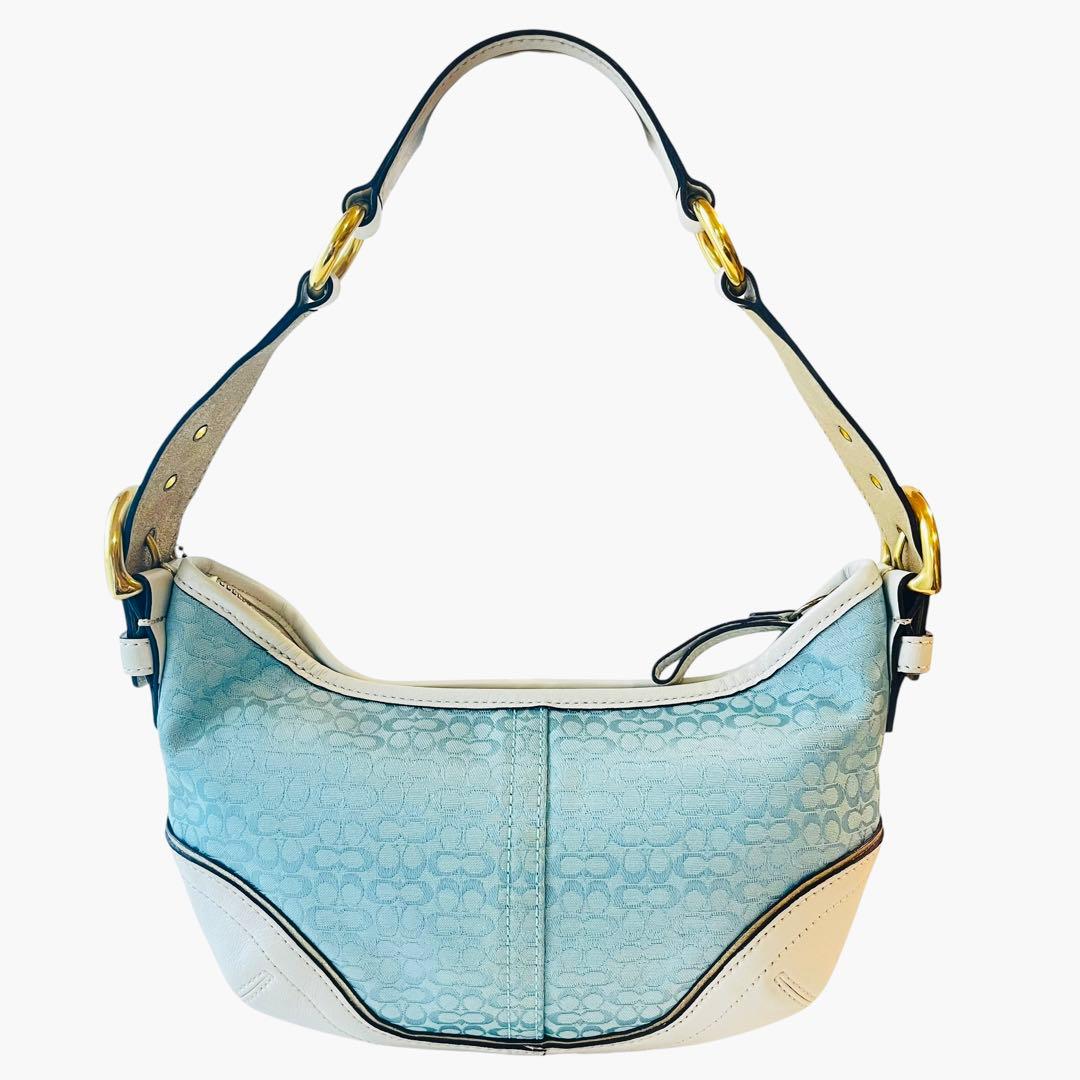 超美品 希少カラー COACH コーチ シグネチャー ワンショルダーバッグ