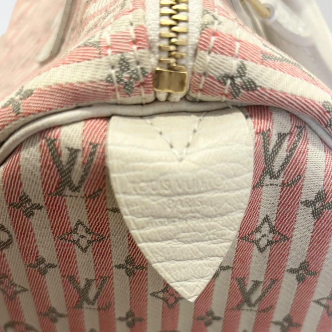 希少ルイヴィトン スピーディーM95501モノグラムハンドバッグ