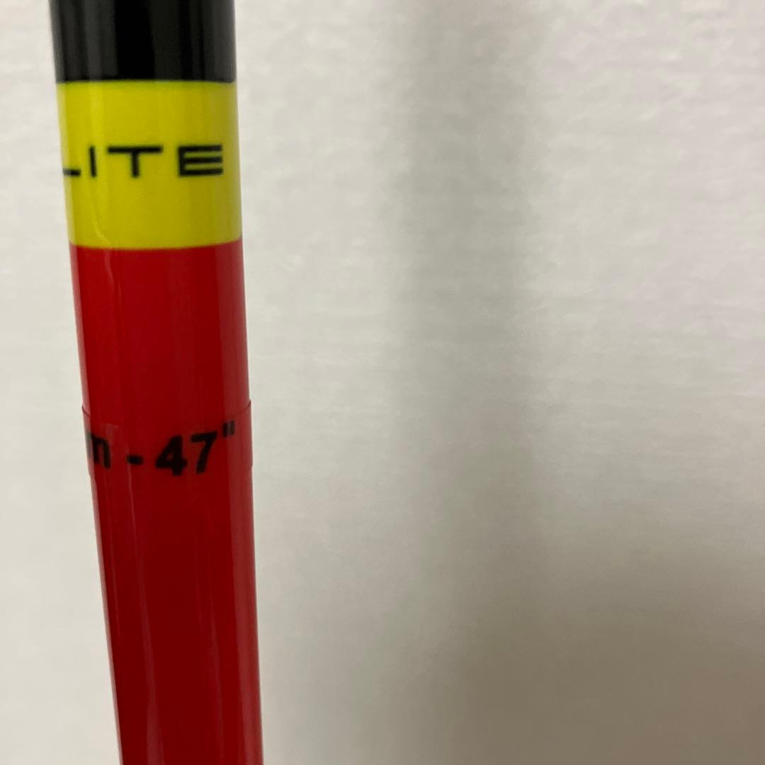 【美品】LEKI WCR COMP ストック 117cm