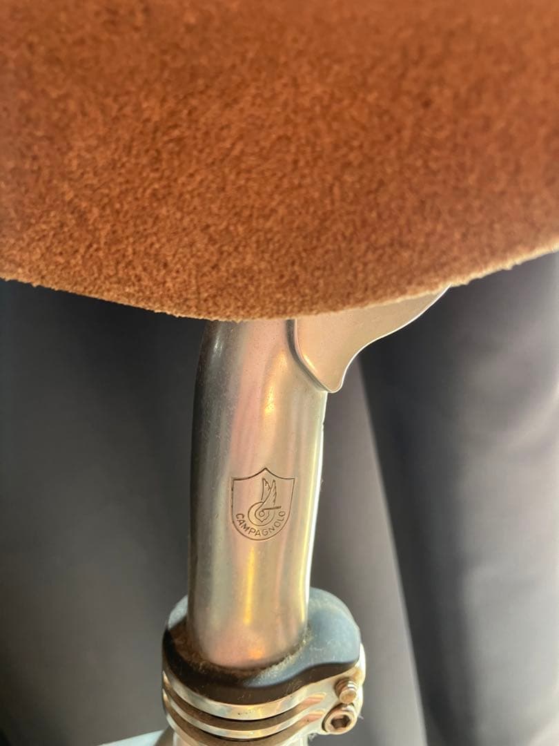 エリマキトカゲさん専用　キャノンデールCAPO