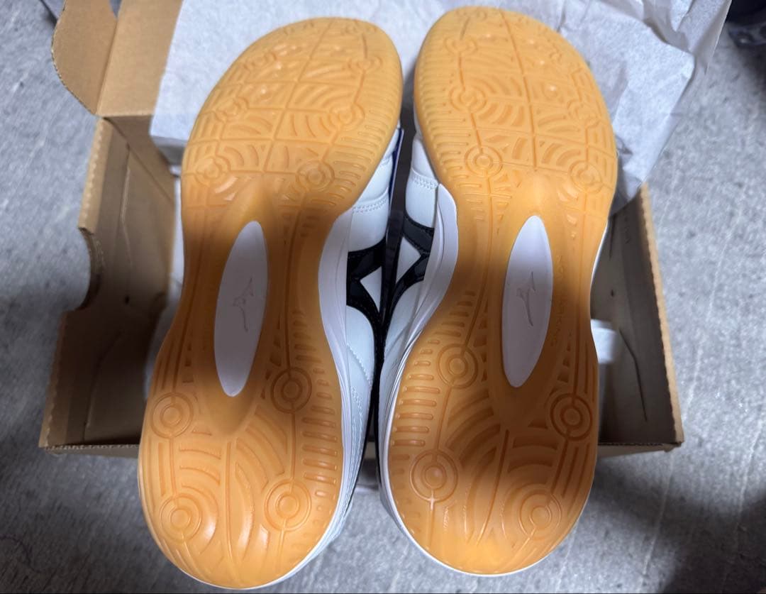 【新品】Mizuno モレリアIN 26cm