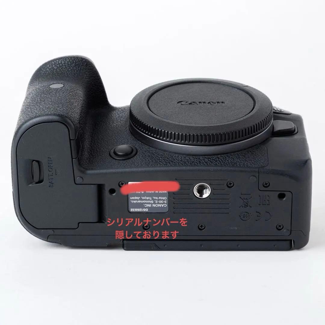 Canon EOS R6 ミラーレス一眼 SDカード付き