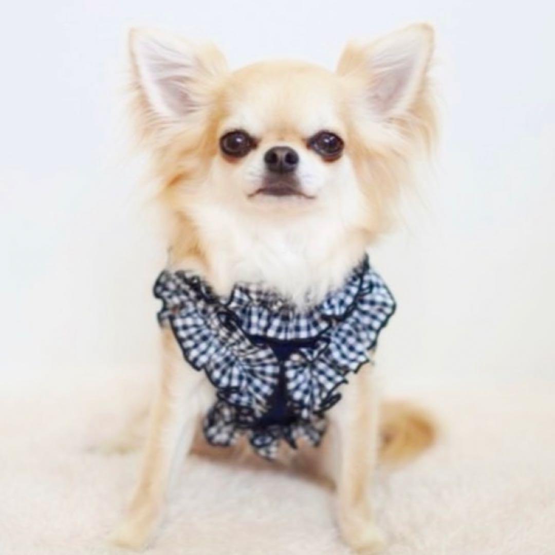 CandyBuppie ギンガムフリルハーネス