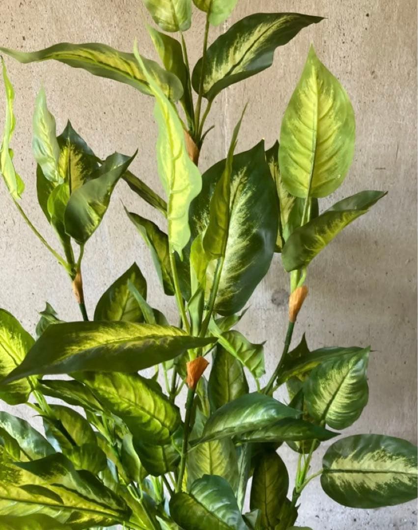 光触媒　人工観葉植物　ウォールグリーン　フェイクグリーン　デヘンヴァギア130