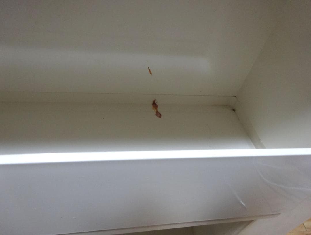 正規品　B-LINE　ボビーワゴン　ホワイト