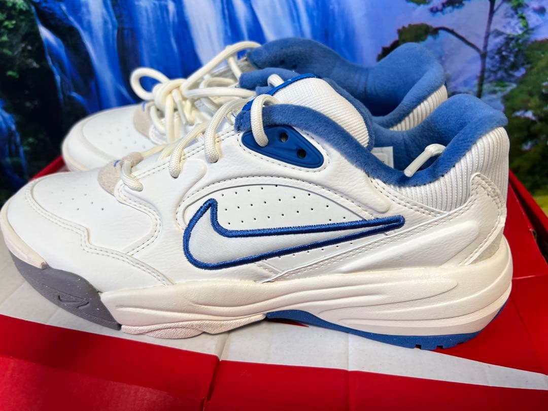 シューズ(男性用) NIKE size 24.5cm