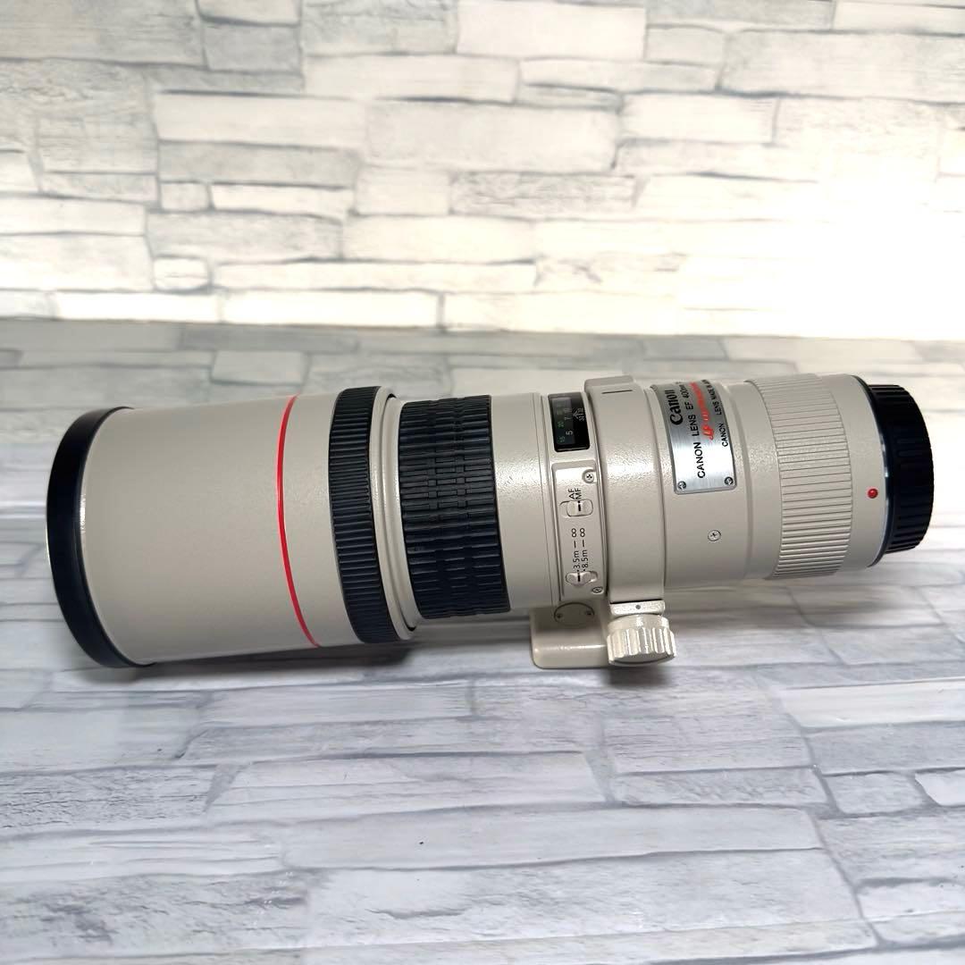 Canon EF400mm F5.6L 超望遠レンズ