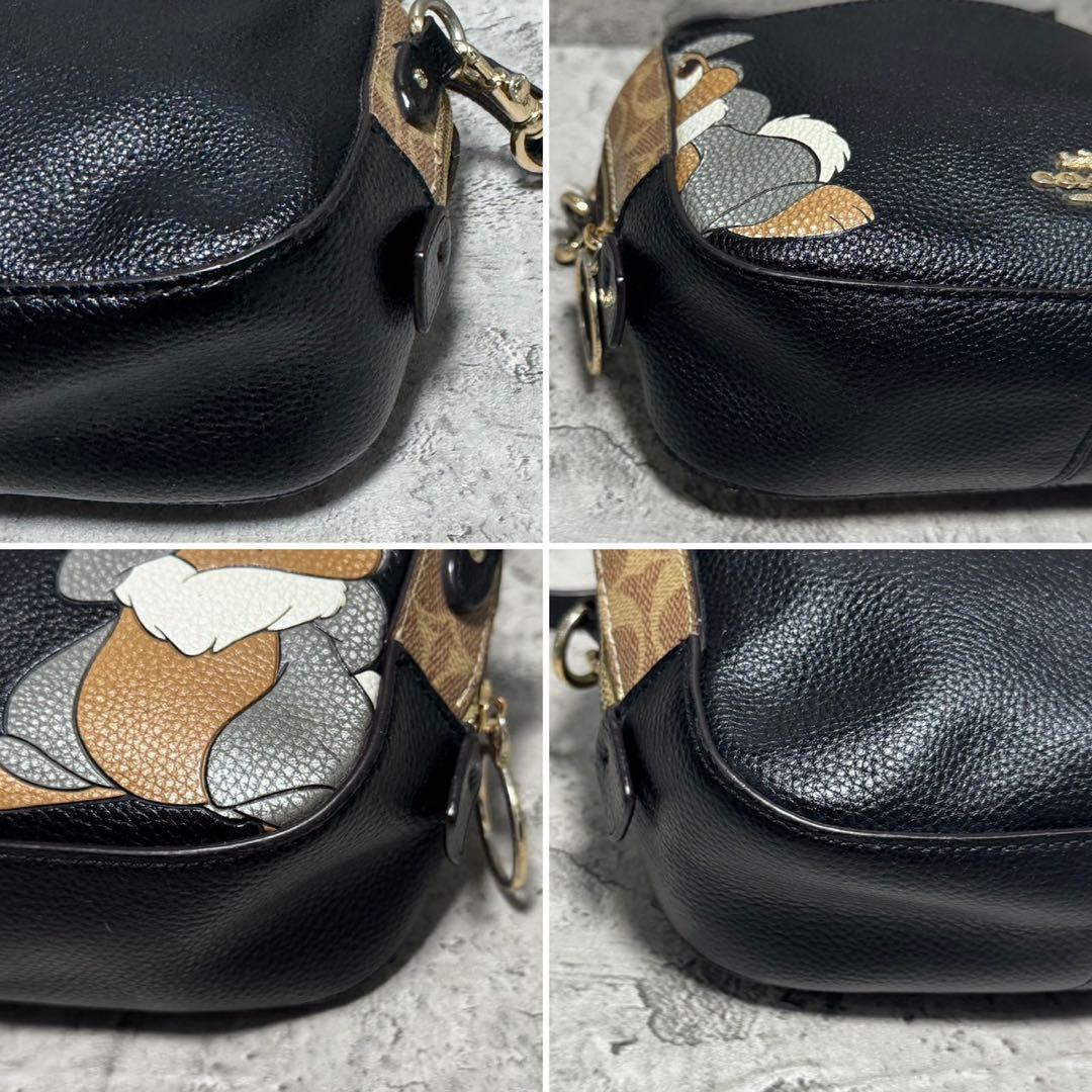 極美品✨️コーチ カメラバッグ ショルダー ディズニー とんすけ レザー 黒