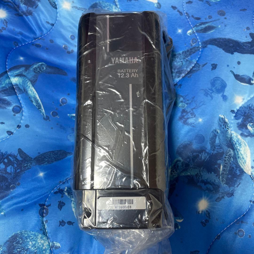 12.3YAMAHAバッテリー