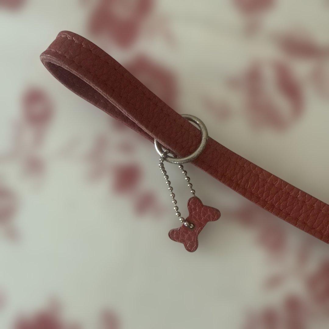 バディベルト✴︎ハーネス、リードセット