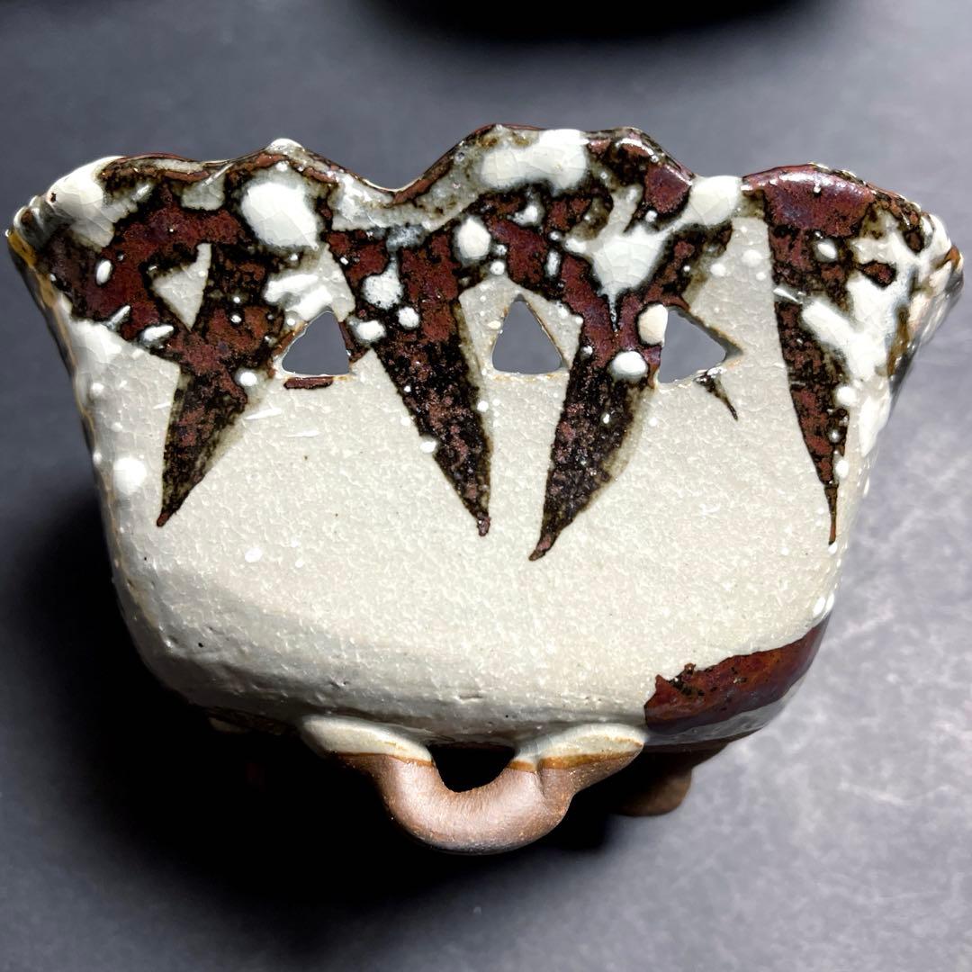 乾山写　雪笹文 向付 五客セット