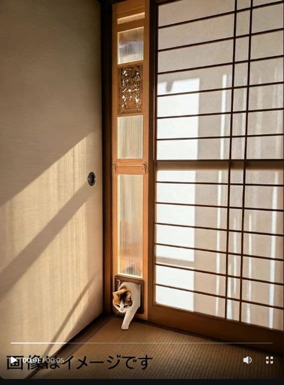 [行って帰る君]大型ペットドア ペット スルー