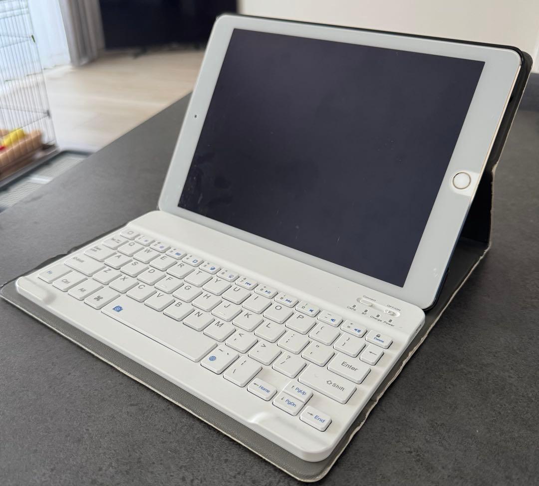 Apple iPad Air 2 ゴールド　本体 64GB