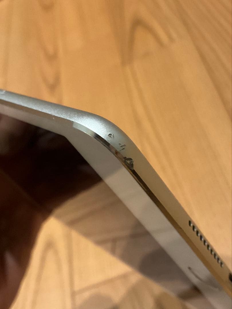 iPad mini4 Wi-Fi + Cellular 64GB ケース付