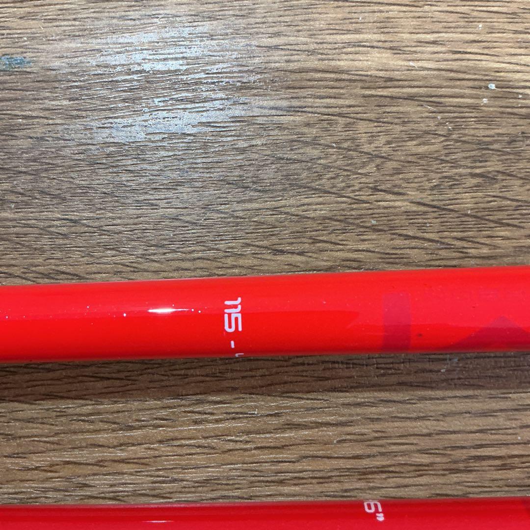 スキー LEKI Venom GS 3D 115cm