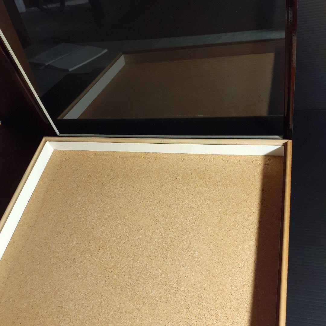 大型ドイツ標本箱(志賀昆虫普及社)、２箱セット