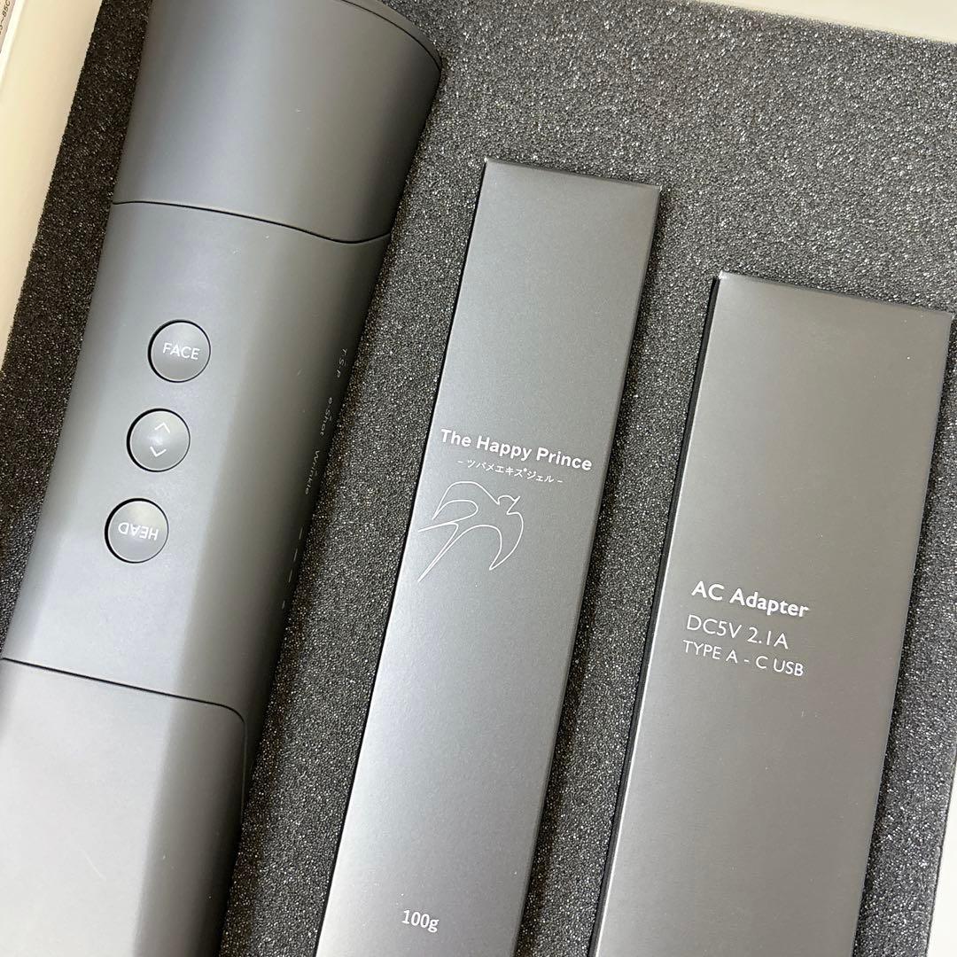 新品未開封　TERAMEE SPLASH PULSE 2700 美顔器　グラント