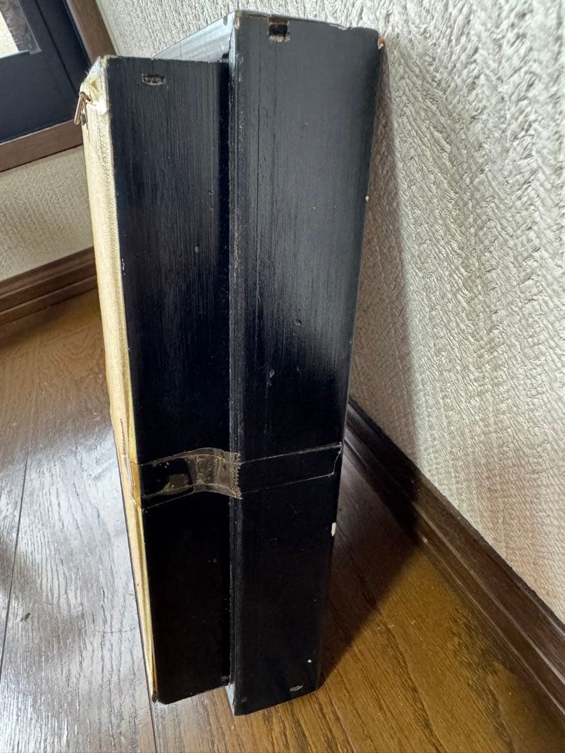 コーカサスオオカブト標本　マレーシア