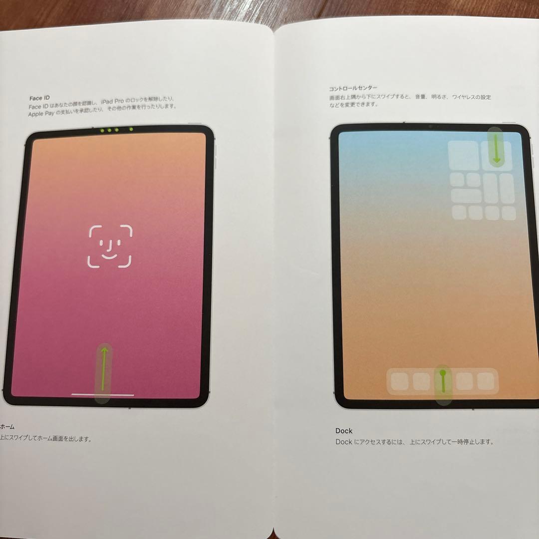 2018年モデル iPadPro11インチ 第1世代 256GB セル