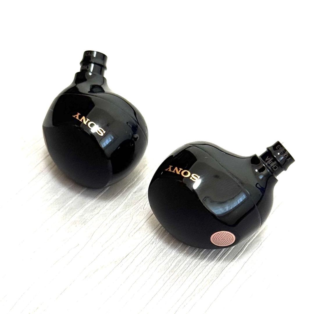 ソニー WF-1000XM5 ブラック イヤホン　両耳セット