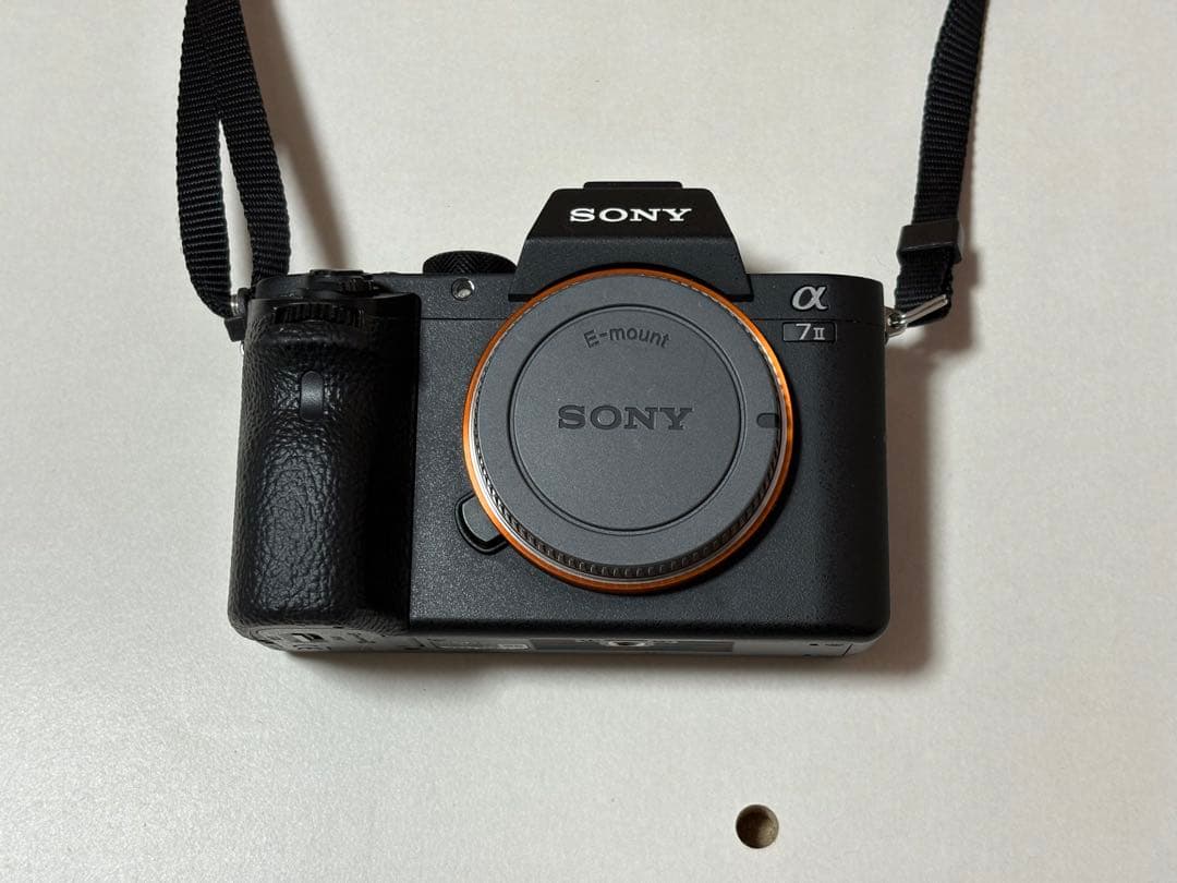 SONY a7II クリーニング済み 付属品多数