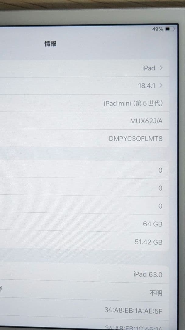 ipad mini 5 シルバー　64GB Cellular　simフリー