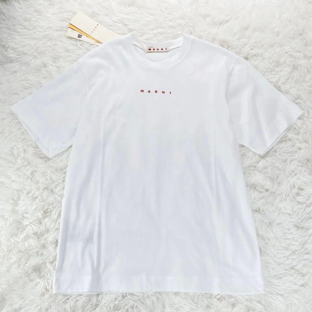 新品タグ付✨ 大人もOK！マルニ　キッズTシャツ　12Y 150 白 25SS
