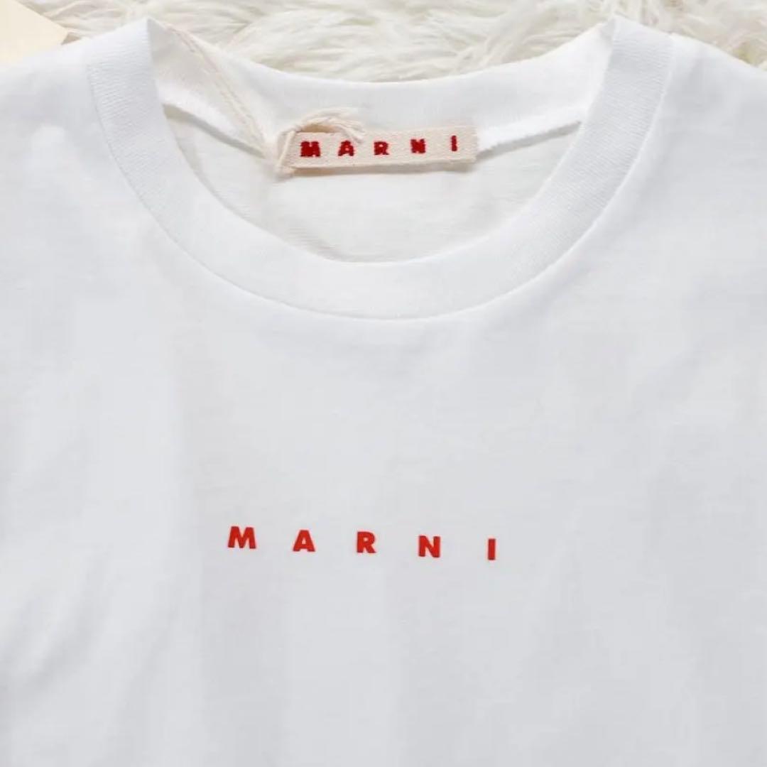 新品タグ付✨ 大人もOK！マルニ　キッズTシャツ　12Y 150 白 25SS