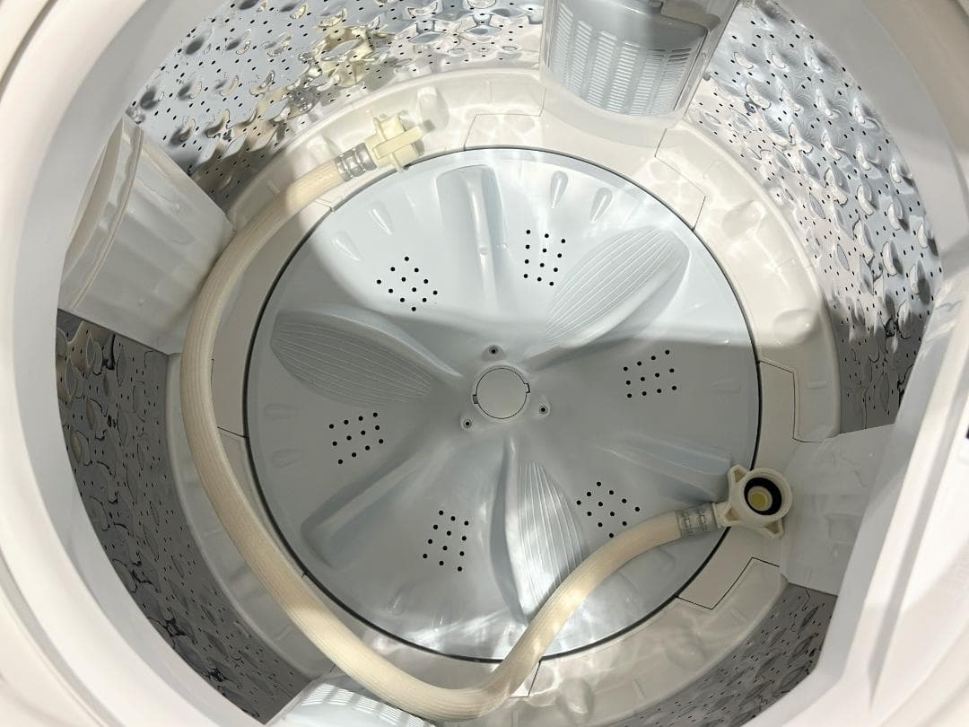 新生活 一人暮らし 送料無料 東芝 洗濯機 6.0kg 2024年製