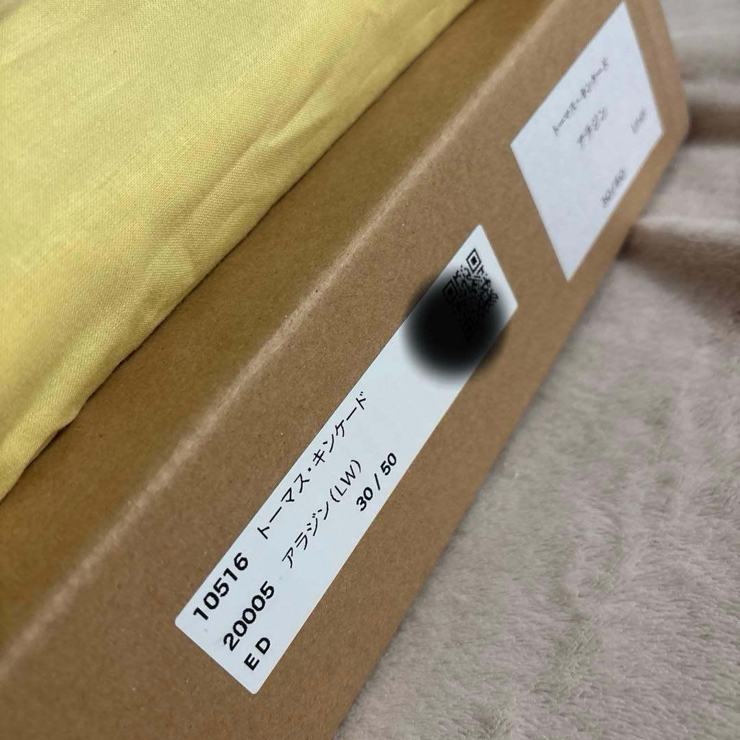 商談中　ディズニー　トーマスキンケード　アラジン　特大　シリアルナンバー　限定