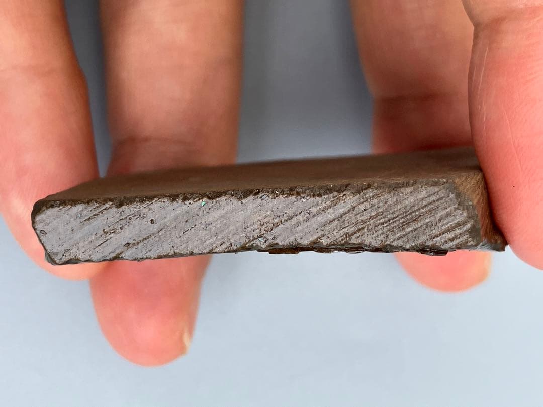 化石　原石　アンモライト　アンモナイト　幅4.4cm カナダ産　置物　箱付き