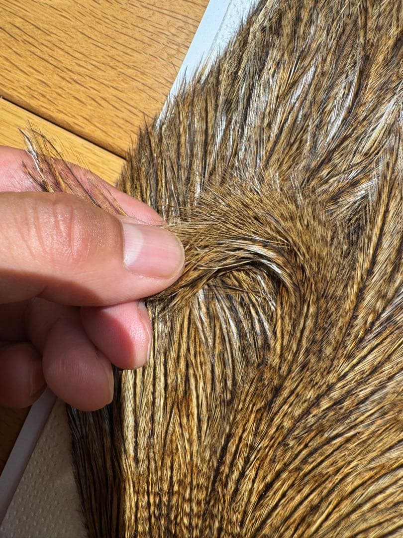 WHITING コックデレオン　ダークパルド　ライトジンジャーパルド　2枚セット