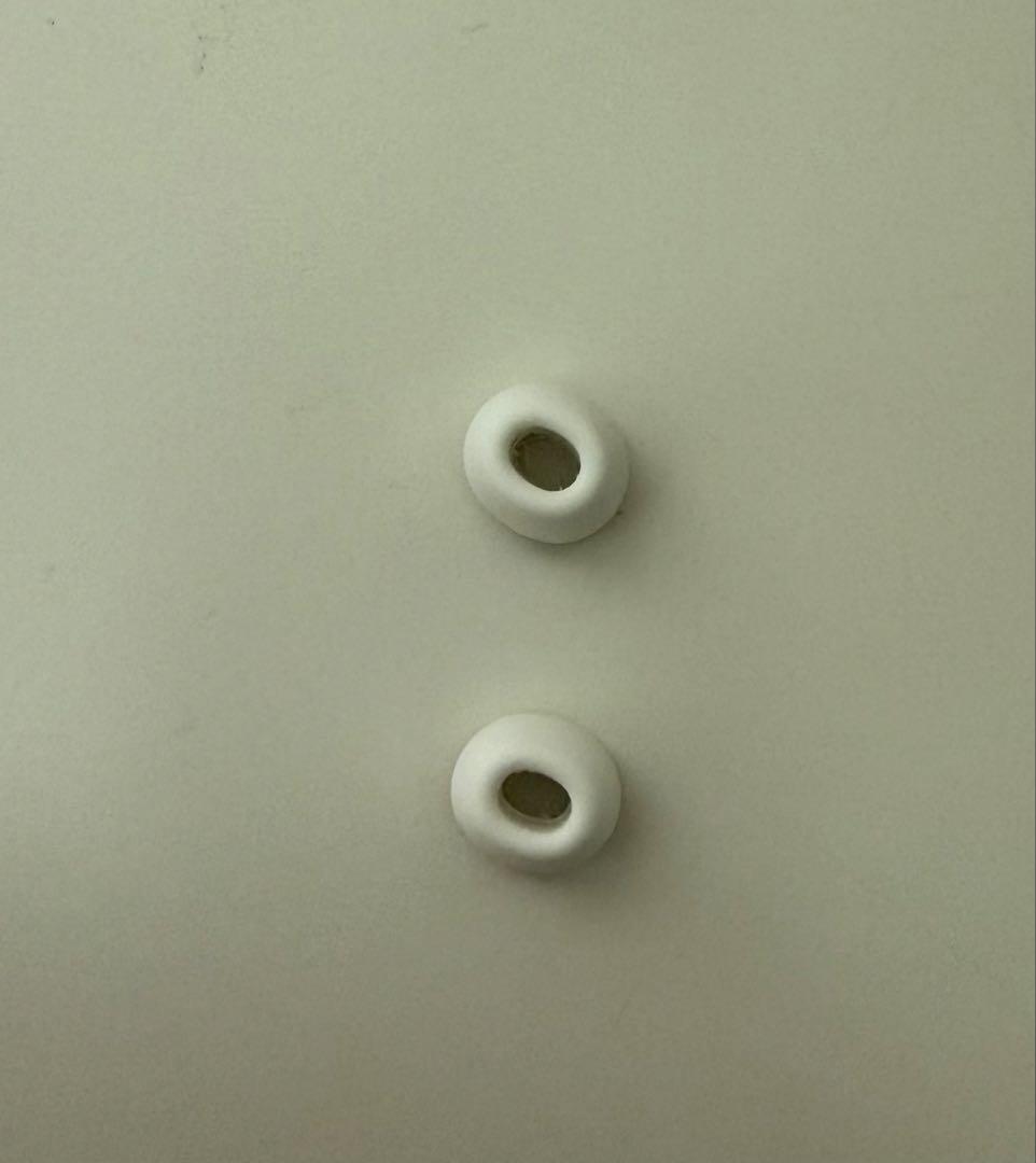 AirPods Pro本体 ホワイト イヤーチップ付き