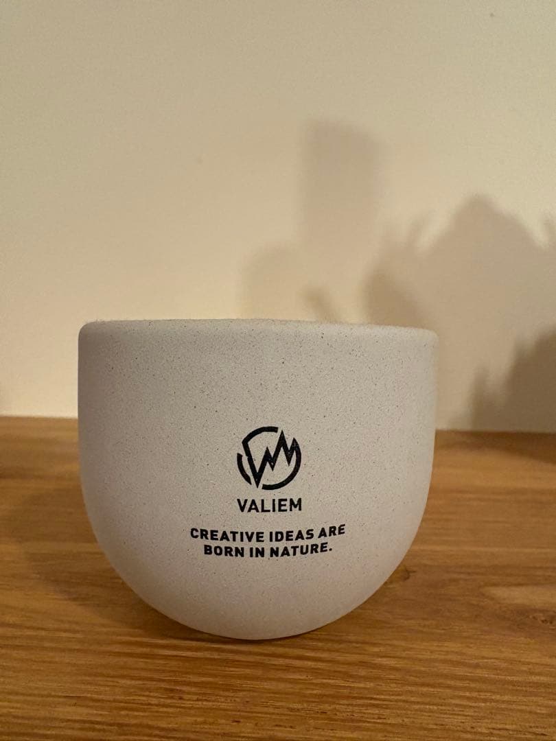 VALIEM 植木鉢　青坊主　xsサイズ