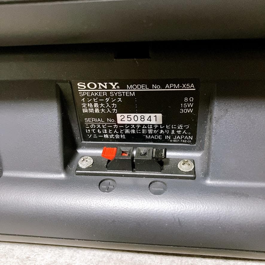 SONY APM-X5A 2Way 平面スピーカーシステム オーディオ 希少
