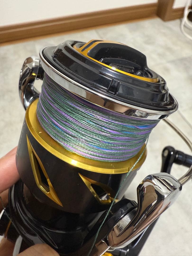 SHIMANO STELLA SW 6000HG スピニングリール