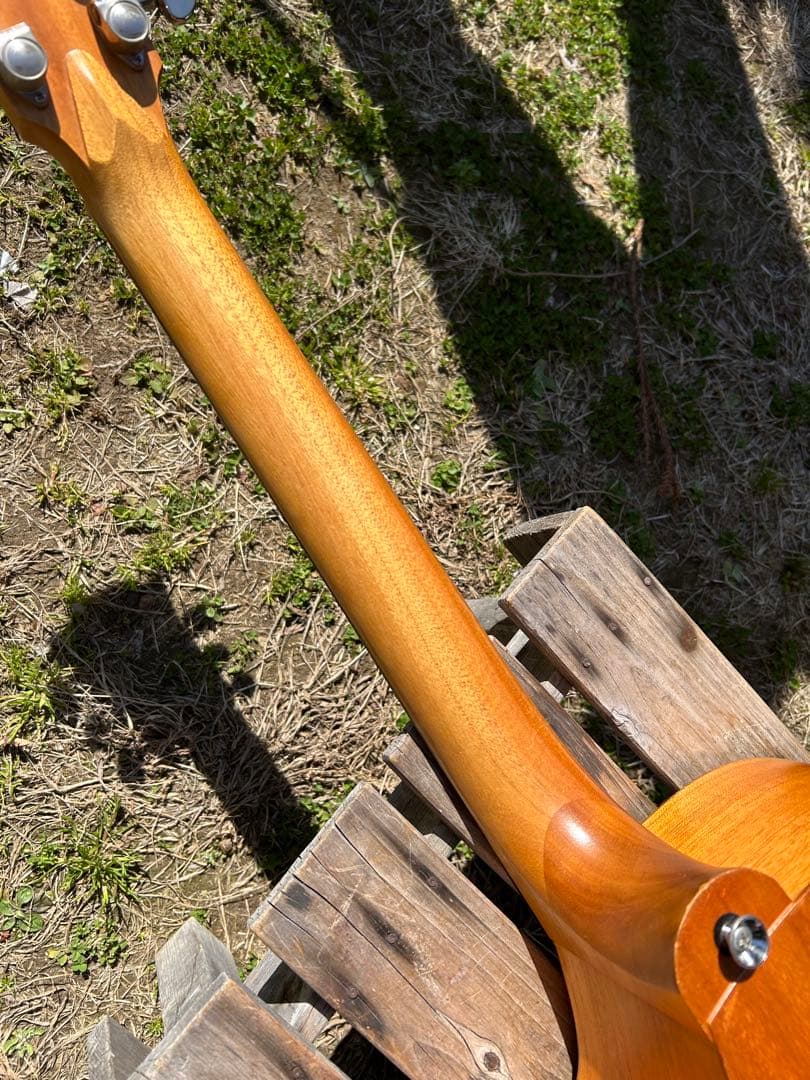 Cole Clark (オール単板)