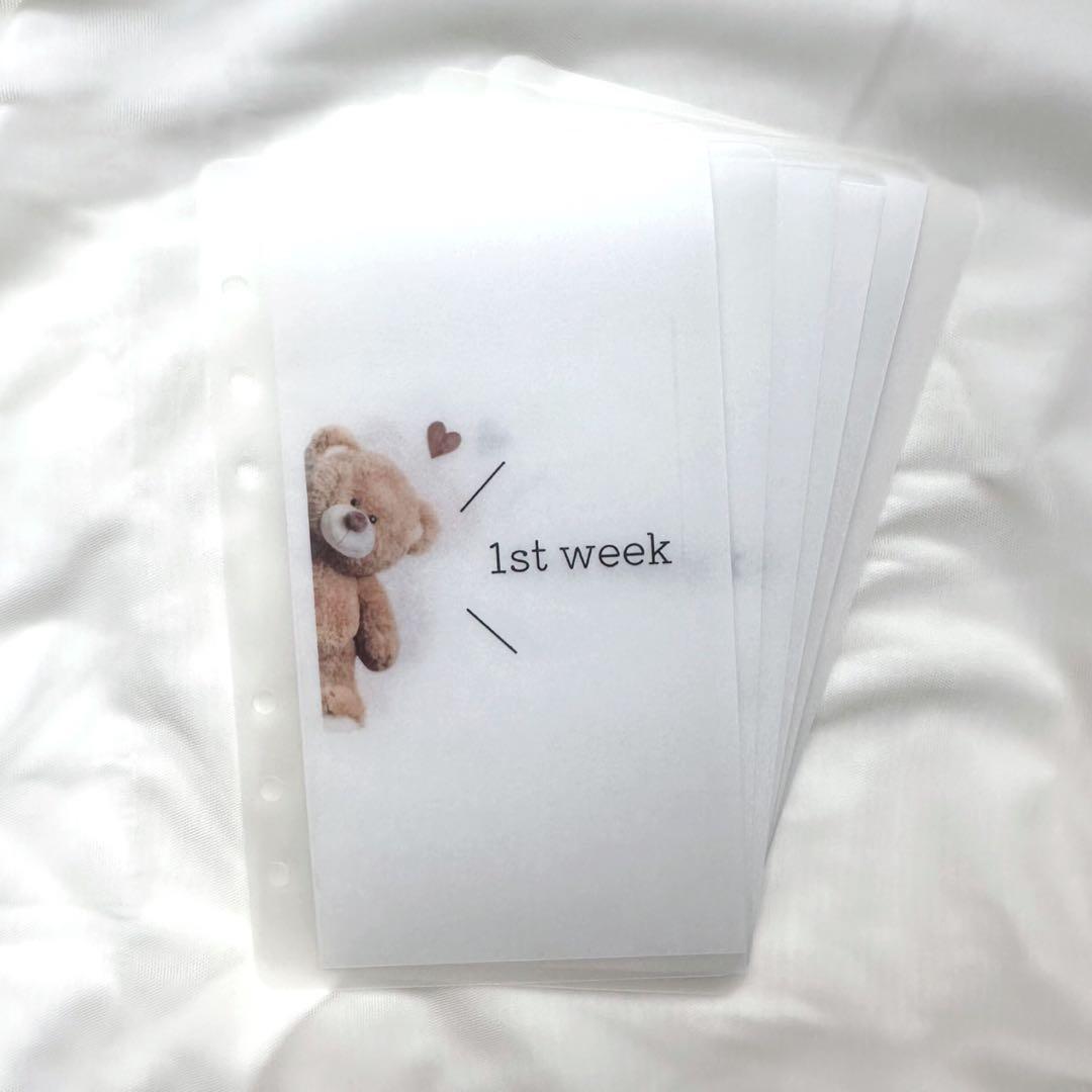 Reeeさま お打合せ用 ひょっこりくまさん 週別リフィル 貯金シート付