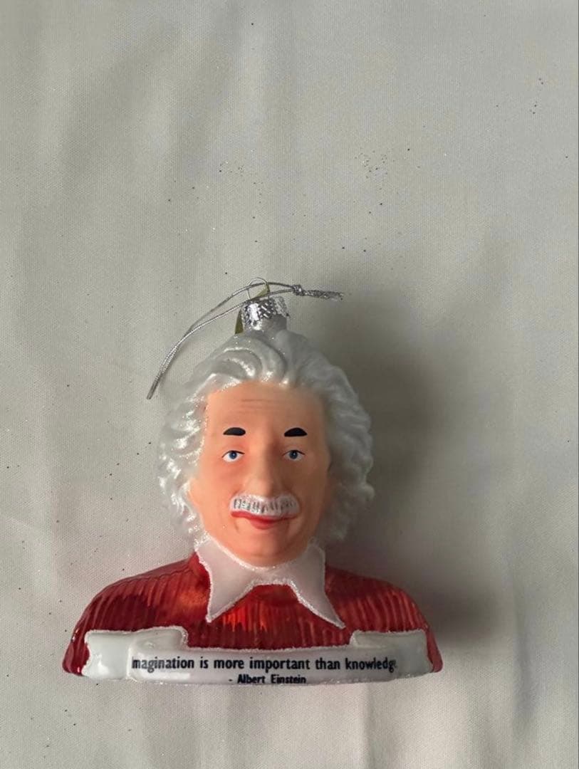 アインシュタイン　オーナメント　クリスマス　アスティエ・ド・ヴィラット